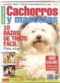 Cachorros y mascotas nº 41